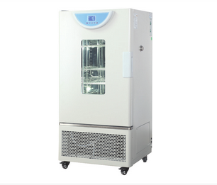 霉菌培养箱BPMJ-500F（液晶）
